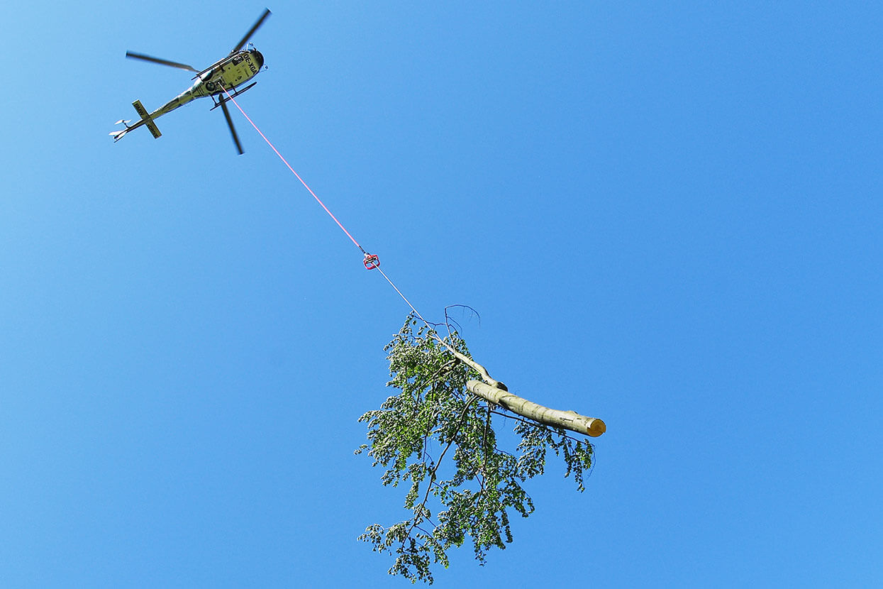 Bei der Vegetationspflege an Gleisen werden auch Hubschrauber eingesetzt. Hier wird gerade ein halber Baum durch die Luft abtransportiert.