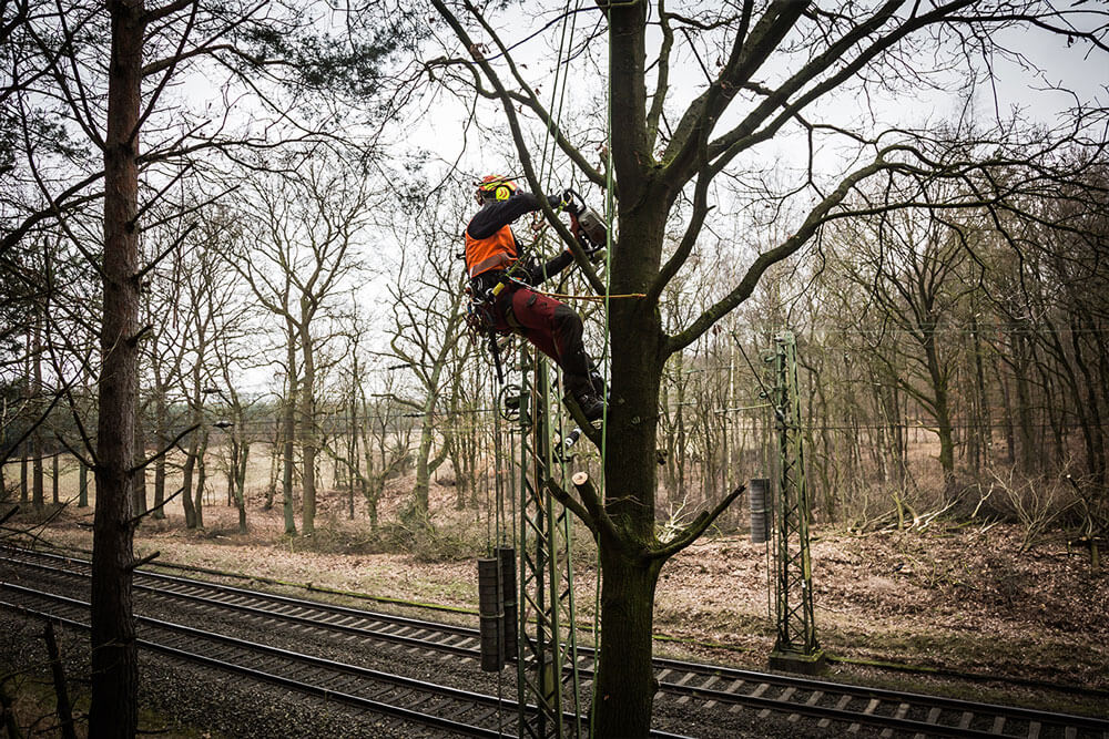 Deutsche Bahn - Vegetationspflege an Gleisen - hier schneidet ein Baumkletterer in schwindelerregender Höhe einen Baum zurecht