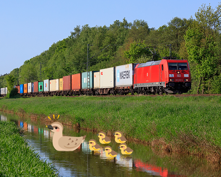 Güterverkehr: Was befindet sich alles in Güterzügen? Wie werden sie beladen? Und wo fahren sie hin?