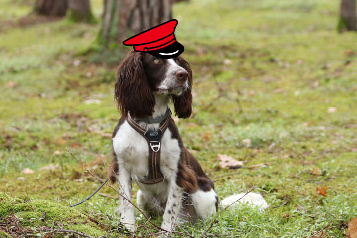 Ein Hund mit einer gezeichneten Schaffner-Mütze