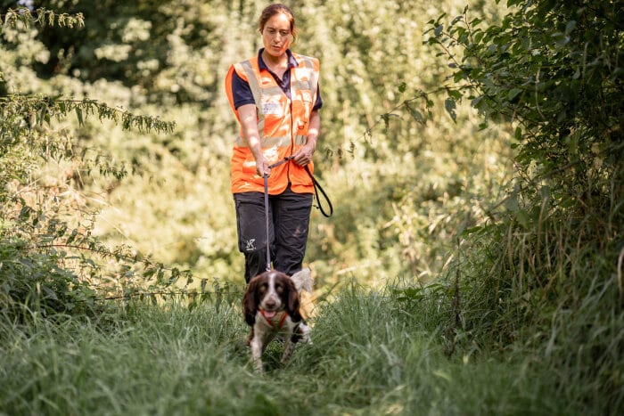 Grüne Berufe bei der Bahn – Artenspürhunde erschnüffeln geschützte Tierarten