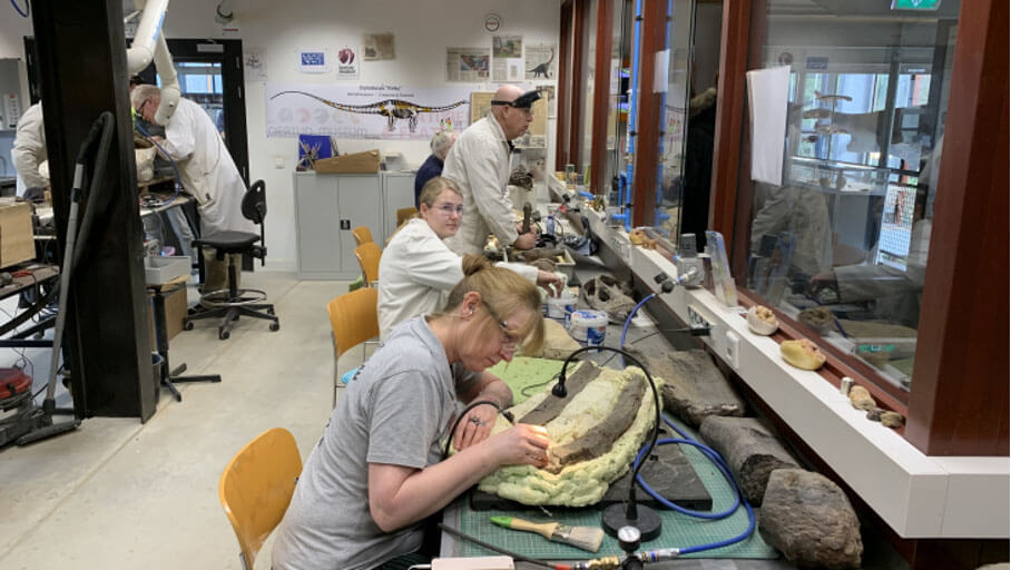 Freiwillige und Studierende bearbeiten Dinoteile mit Spezialwerkzeugen